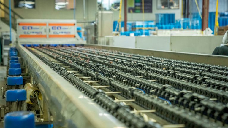 Convoyeurs industriels : comment choisir le bon système de manutention
